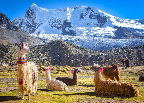 Tour Ausangate 7 Lagunas Cusco de 1 Dia